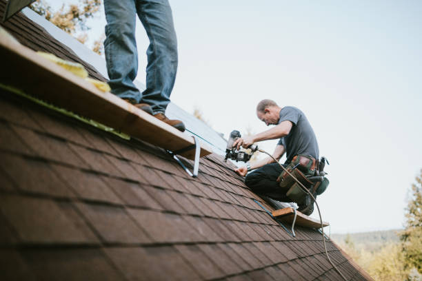 Best Chimney Flashing Repair  in Valley Forge, TN